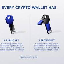 crypto wallet download